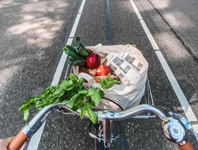 Bicycle basket filled with fresh vegetables and a cloth grocery bag