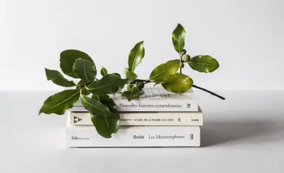 Stack of books with a leafy branch resting on top