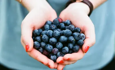 Cupped hands holding a handful of fresh blueberries